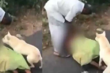 தாயை தரதரவென இழுத்துச் சென்ற மகன்: காப்பாற்ற போராடும் வளர்ப்பு நாய்! கலங்க வைக்கும் புகைப்படம்