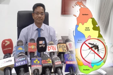 யாழில் அதிகரித்துள்ள டெங்கு அபாயம்! (Video)