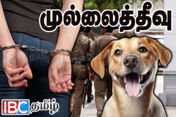 முல்லைத்தீவில் நாயிற்கு மரண தண்டனை வழங்கிய பெண்ணுக்கு நேர்ந்த கதி