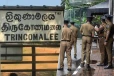 திருடப்பட்ட மாடுகளை ஏற்றிச் சென்ற சொகுசு கார் கைப்பற்றல்