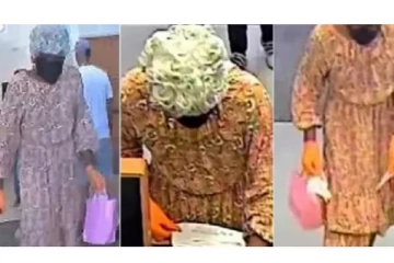 வயதான தோற்றத்தில் விசித்திர கொள்ளைச் சம்பவம்