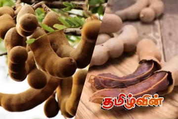 நாட்டில் புளியின் விலை அதிகரிப்பு