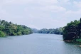 කැළණි ගඟ සංරක්ෂණය කිරීමට විශේෂ වැඩසටහනක්