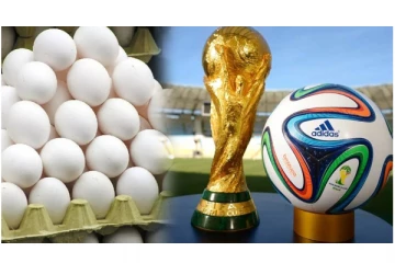 உலக கால்பந்து போட்டி - கோடிக்கணக்கில் கத்தாருக்கு செல்லும் நாமக்கல் முட்டை...!