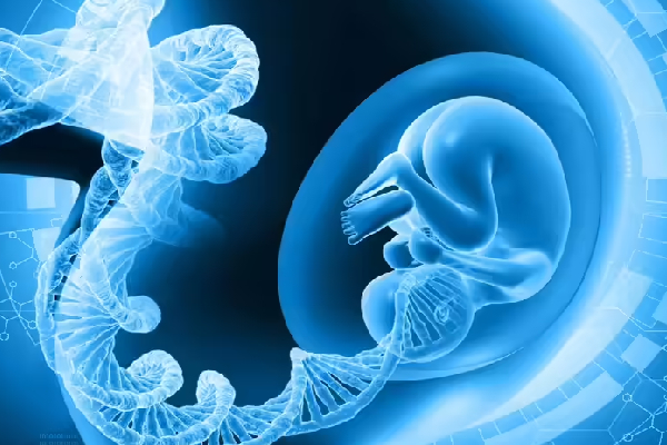 மூவரின் DNA; பரம்பரைக்கே நோய் வராது | The Dna Of Three People Disease Is Not Hereditary
