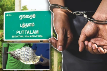 புத்தளத்தில் வலம்புரிச் சங்கினை விற்க முயன்றவர் அதிரடி கைது