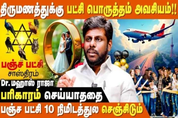 வீட்டில் பணம் நிரப்பி வழிய உதவும் பஞ்ச பட்சி சாஸ்திரம்