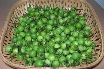 பெண்களுக்கு மட்டும் அல்லாது பல நோய்களுக்கு தீர்வாகும் காய்