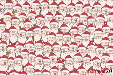 Optical illusion: சாண்டா கிளாஸில் மறைந்திருக்கும் ஆடு எங்கே உள்ளது?