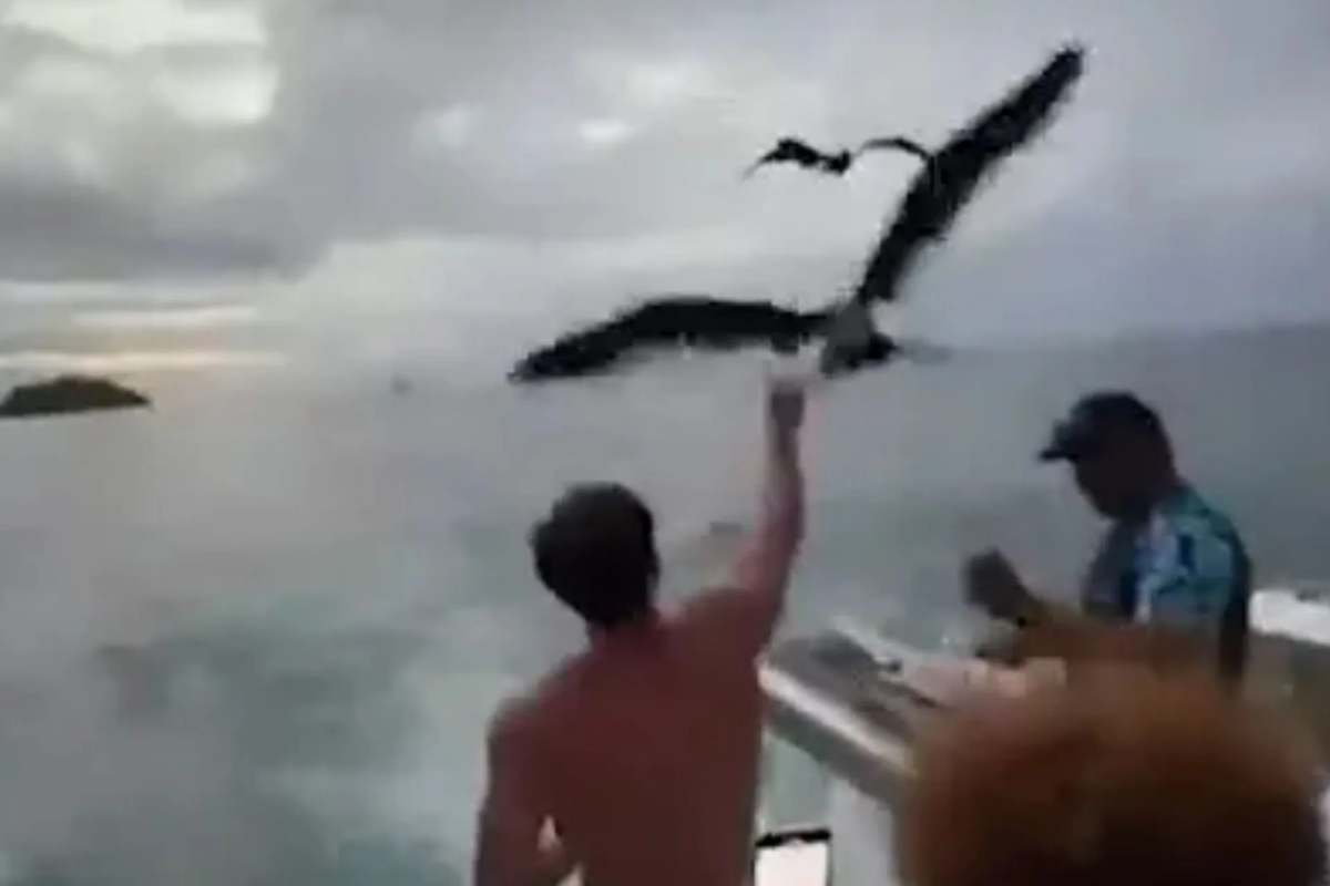 Venice இல் பறவைகளுக்கு உணவு அளித்தவருக்கு ஆறு இலக்கத் தொகை அபராதம் | Italy Six Figure Fine For Feeding Birds Influencer