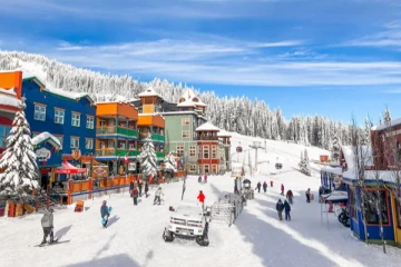 கனடாவில் பனிச்சறுக்கு விளையாட்டில் ஈடுபட்ட போது உயிரிழந்த நபர்! வெளியான பின்னணி தகவல்கள்