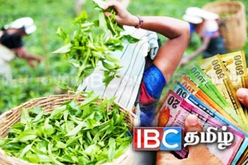 பெருந்தோட்ட தொழிலாளர்களுக்கு மகிழ்ச்சி செய்தி: அதிகரிக்கப்பட்டது சம்பளம்!