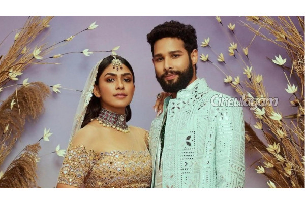 என் காதலன் என்னைவிட்டு விலகி போக காரணமே இதுதான்... மிருணாள் தாகூர் ஓபன் டாக் | Actress Mrunal Thakur About Her Love Failure