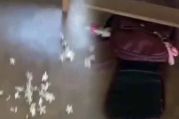 පෙම් සබඳතාවක් නිසා දහම් පාසල තුළදී සිසුවියකට පිහියෙන් අනී..!