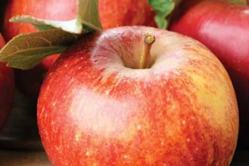 நைட் தூங்கும் முன் நீரிழிவு நோயாளிகள் சிவப்பு  ஆப்பிள் சாப்பிட்டால் என்ன நடக்கும் தெரியுமா? இனி தெரிஞ்சிக்கோங்க...!