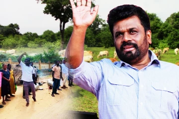 ஆக்கிரமிக்கப்படும் மயிலத்தமடு - மாதவனை காணி! பேச்சுவார்த்தைக்கு தயாராகும் அரசாங்கம்