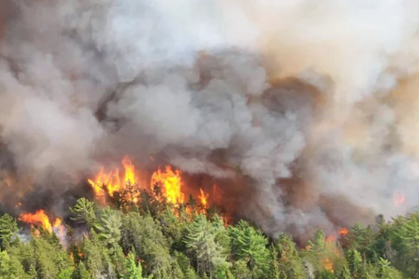 கனடாவுக்கு நிலநடுக்கம், காட்டுத்தீ அபாயம் ; விஞ்ஞானிகள் எச்சரிக்கை | Canada At Risk Of Major Earthquake Scientists Warn