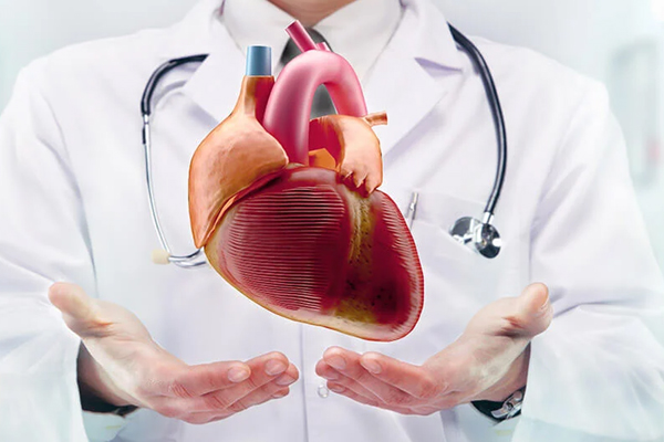 உங்களது இதயம் ஆரோக்கியமாக இருக்கின்றதா? ஆபத்தில் இருந்தால் இதுதான் அறிகுறிகள் | How To Check Your Heart Condition Healthy உங்களது இதயம் ஆரோக்கியமாக இருக்கின்றதா? ஆபத்தில் இருந்தால் இதுதான் அறிகுறிகள் | How To Check Your Heart Condition Healthy