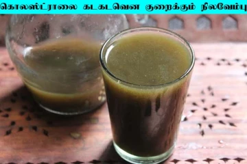 கொலஸ்ட்ராலை கடகடவென குறைக்க வேண்டுமா? இந்த ஒரு பொருள் போதும்