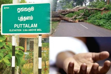புத்தளத்தில் மரங்கள் வீழ்ந்து இரு பெண்கள் பரிதாபகரமாக உயிரிழப்பு