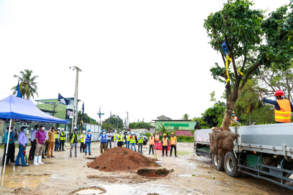 පරිසරය සුරැකීමට රූට්බෝල් ක්‍රමයට ප්‍රතිරෝපණය ....(PHOTO) | Srilanka Airprost
