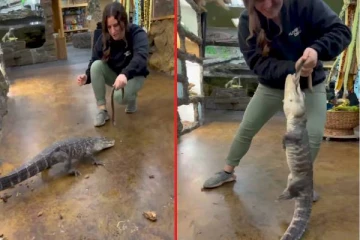 viral video: முதலையிடம் இரையை வைத்து விளையாடிய பெண்... இறுதியில் என்ன நடந்தது?