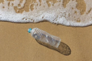 உப்புத் தண்ணீரில் கரையும் பிளாஸ்டிக் ; அசத்திய ஜப்பான் விஞ்ஞானிகள்