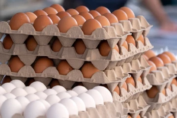 සුබ ආරංචියක් - ගිනි ගණන් වූ බිත්තර මිල යළි පහළට