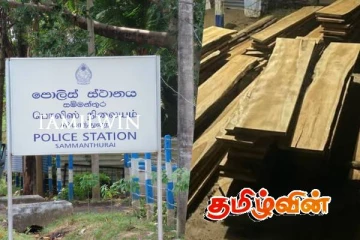 சட்டவிரோதமாக கடத்தி வரப்பட்ட தேக்க மரப்பலகைகளுடன் சந்தேக நபர் கைது