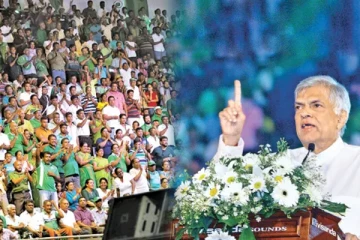 இனப்பிரச்சினைக்கு விரைவில் தீர்வு! ரணில்