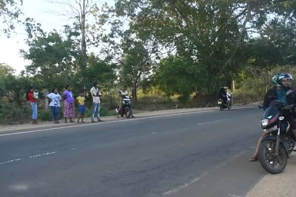 யானைகளால் அச்சப்படும் மக்கள் | People Who Are Afraid Of Elephants