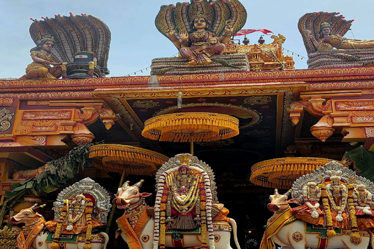 நயினாதீவில் இரவு நேரங்களில் தொடர் மின்வெட்டு; அவதியில் பக்தர்கள்! | Frequent Night Time Power Cuts In Nainativu