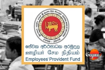 ආයේ EPF ගැන බය වෙන්න ඕනේ නෑ අතටම එනවා - මෙන්න හැමෝටම සුබ ආරංචියක්