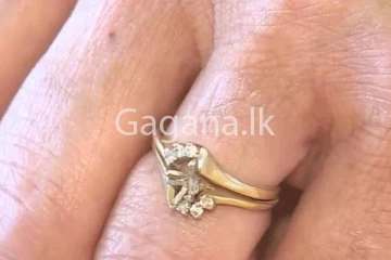 බේකරි හිමියාගේ දියමන්තියක් කුකීස් සමඟ විකිණිලා සිදු වූ අලකලංචිය. - (VIDEO)