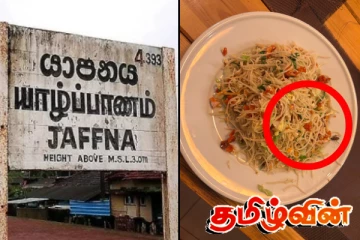 யாழில் ஹோட்டல் ஒன்றில் கரப்பான் பூச்சியுடன் வழங்கப்பட்ட நூடில்ஸ்