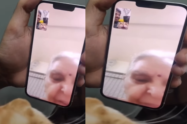 பாட்டியிடம் வீடியோ கால் பேசும் பூனை - மனம் கரைத்த காணொளி | Pet Talking To Grandma On Video Call Viral Video