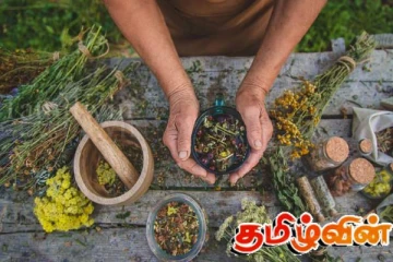 இலங்கைக்குரிய சுதேச மருத்துவம் இல்லாது அற்றுப்போகும் நிலை - வைத்தியர் உமாதேவி எச்சரிக்கை!