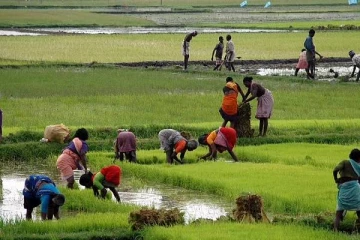 மட்டக்களப்பு மாவட்ட விவசாயிகள் விடுத்துள்ள கோரிக்கை