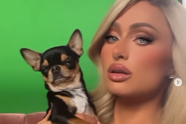 நாயை கண்டுபிடித்தால் இத்தனை லட்சம் பரிசா? நடிகை அதிரடி அறிவிப்பு | 10K Prize For Finding Paris Hilton Dog Diamond