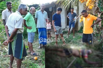 වන අලි පහරදීමකින් අවාසනාවන්ත ලෙස පුද්ගලයෙක් මියයයි.(PHOTOS)