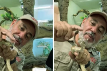 Viral Video: மிகவும் கோபத்துடன் சீறிய அரியவகை இரண்டு தலை பாம்பு