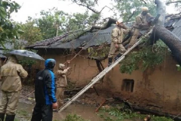 மழைக்காக ஒதுங்கியவர் மீது புளியமரம் விழுந்து பலி