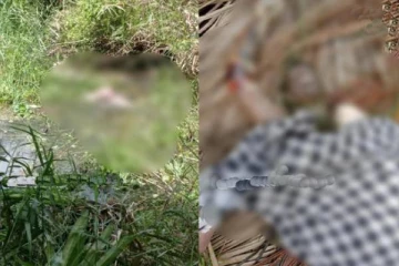 புல் வெட்ட சென்ற 7 பிள்ளைகளின் தந்தைக்கு நேர்ந்த சோகம்!