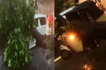 நிலவும் சீரற்ற காலநிலை: மரம் முறிந்து விழுந்ததில் ஒருவர் வைத்தியசாலையில்