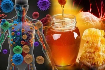 தேன் புற்றுநோய்க்கு தீர்வு கொடுக்குமா? முழுசா தெரிஞ்சிக்கோங்க