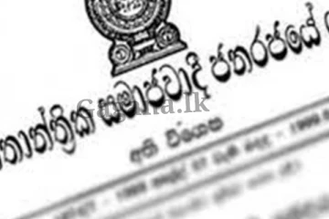 ඔබේ නිශ්චල හා චංචල දේපළ පිළිබඳ රජය ගත් අලුත්ම තීරණය..