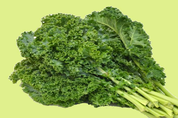 இரும்புச்சத்து அளவை அதிகரிக்க நீங்கள் உட்கொள்ள வேண்டிய 05 காய்கறிகள் | 5 Cruciferous Vegetables Boost Iron Levels