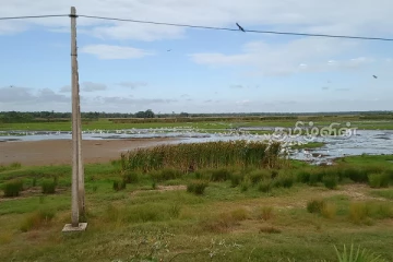 நந்திக்கடல் மஞ்சள் பாலத்தின் வடக்கே அமைக்கப்படுமா நன்னீர் மீன்பிடித் தளம்