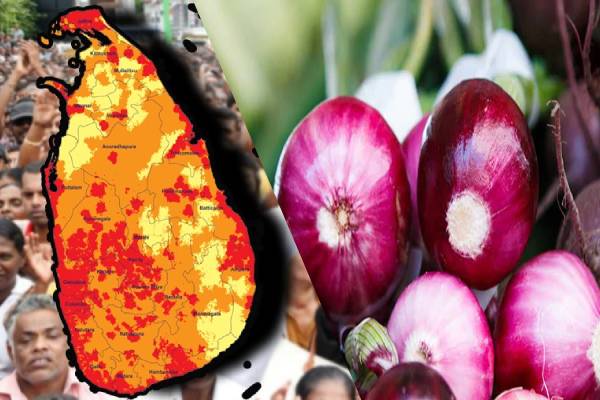 ஜனாதிபதிக்கு அதிர்ச்சி தகவல் அனுப்பிய வெங்காய விவசாயிகள் | Big Onion Namal Karunarathna Anura