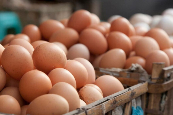 முட்டை விலை அதிகரிப்பு தொடர்பில் வெளியாகியுள்ள தகவல் | Egg Prices During The Festive Season முட்டை விலை அதிகரிப்பு தொடர்பில் வெளியாகியுள்ள தகவல் | Egg Prices During The Festive Season